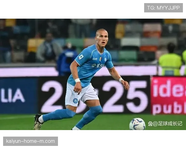 伊尔泽年轻化改造：霍芬海姆夏季转会窗阵容彻底重组逻辑